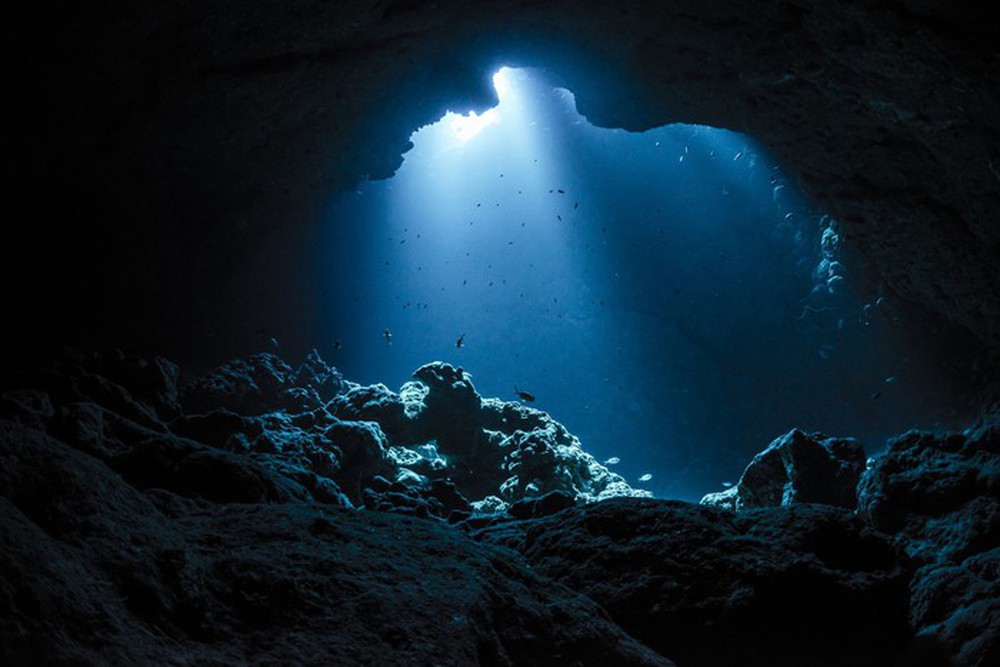 Con người đã đi vào vũ trụ từ rất lâu, nhưng tại sao biển sâu vẫn là điều bí ẩn đối với nhân loại? - Ảnh 3.