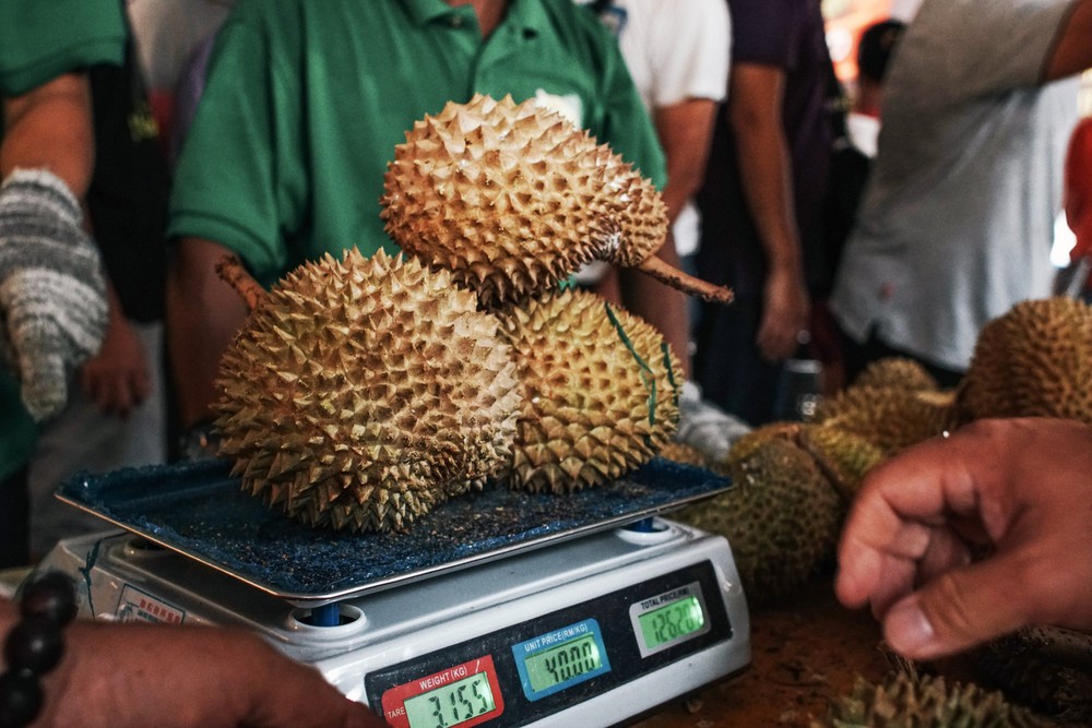 Trung Quốc ôm mộng xuất khẩu sầu riêng sang ĐNÁ, giá rẻ, để được lâu khiến Thái Lan, Malaysia run sợ - Ảnh 1.