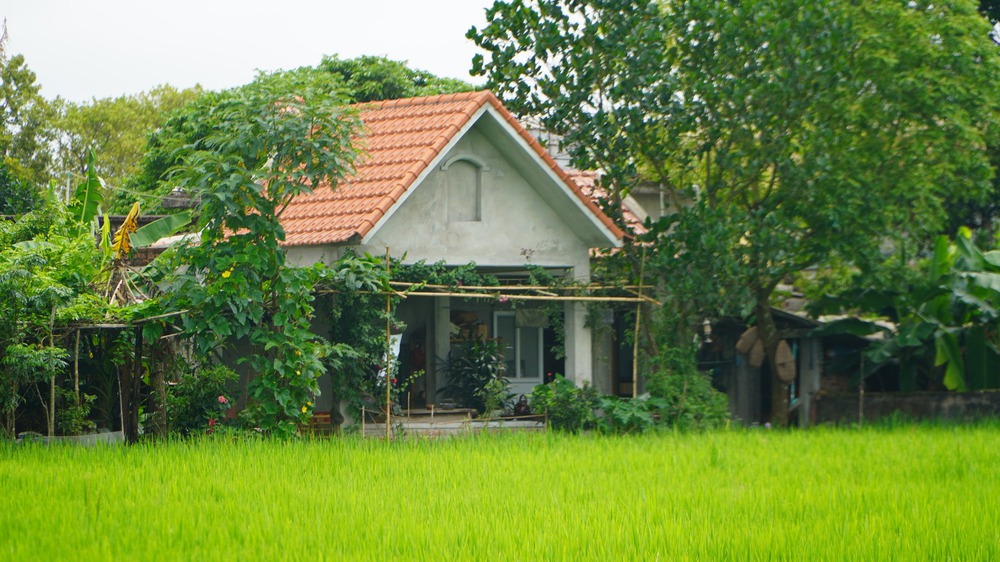 Thanh niên nhớ quay quắt vị cơm tấm, bún bò khi bỏ phố, tiết lộ 3 điều phải lường trước nếu chọn sống ở quê - Ảnh 3.