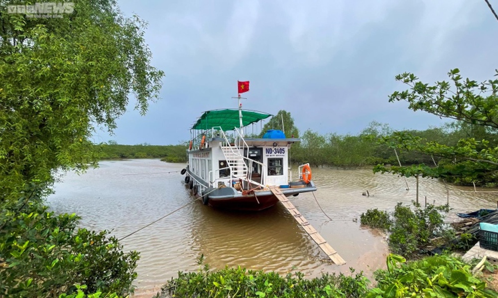 Vụ học sinh tử vong khi bắt ngao: Các tàu kinh doanh tự phát, mạnh ai nấy làm - Ảnh 2.