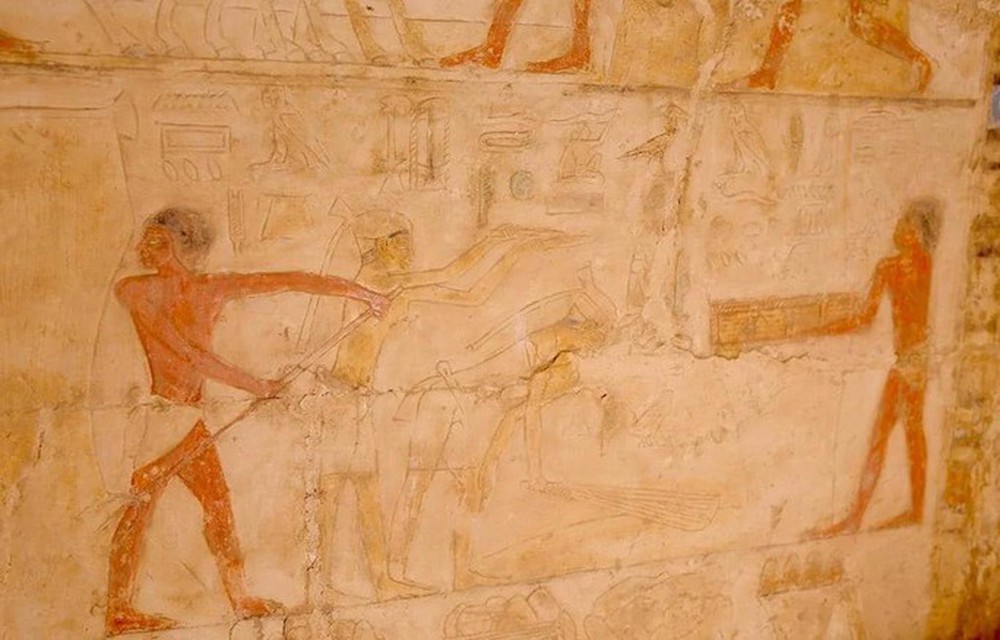 Phát hiện choáng từ hai xưởng ướp xác lớn nhất Ai Cập - Ảnh 1.