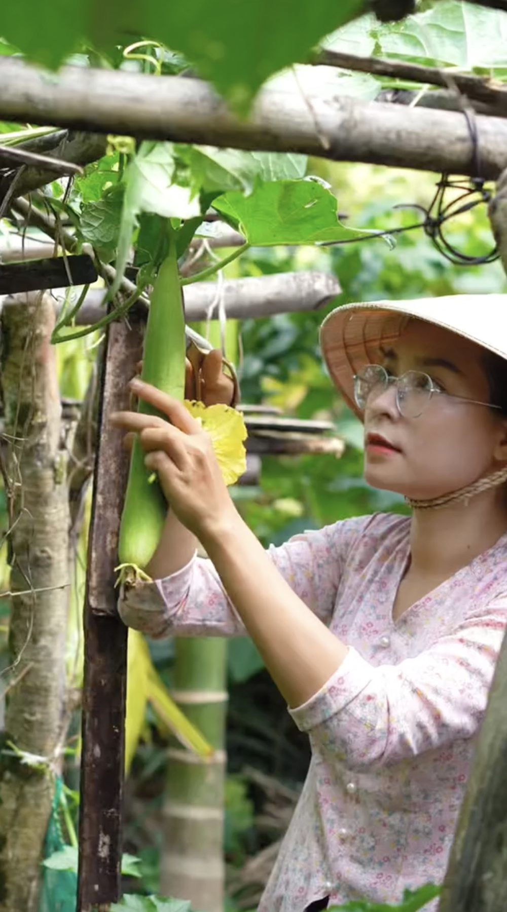Cô gái sinh năm 1999 về quê làm ruộng dù học xong có việc ngay, mức lương khá
