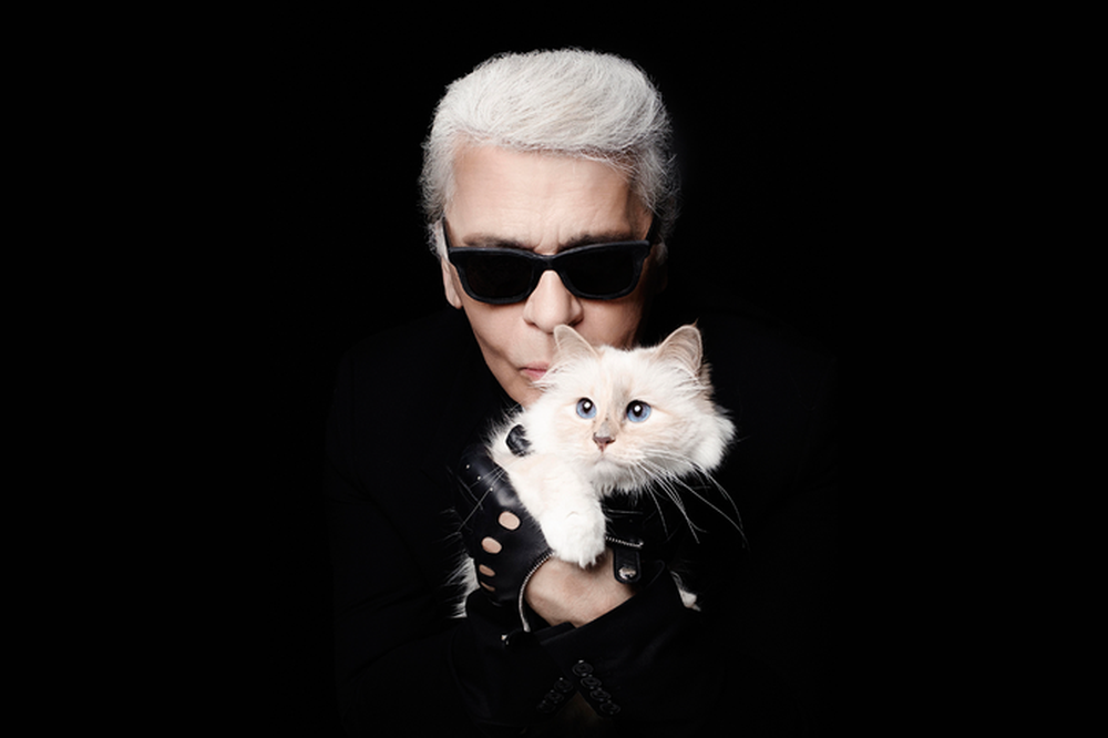 Choupette - mèo cưng của huyền thoại thời trang Karl Lagerfeld truyền cảm hứng khiến loạt sao chơi trội - Ảnh 7.