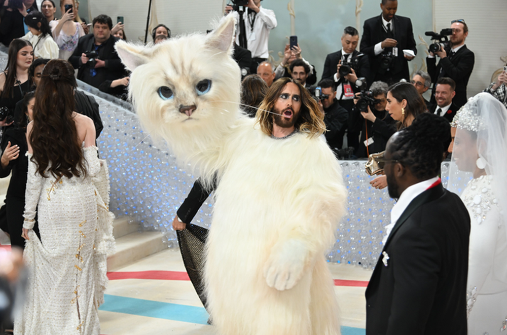 Choupette - mèo cưng của huyền thoại thời trang Karl Lagerfeld truyền cảm hứng khiến loạt sao chơi trội - Ảnh 3.