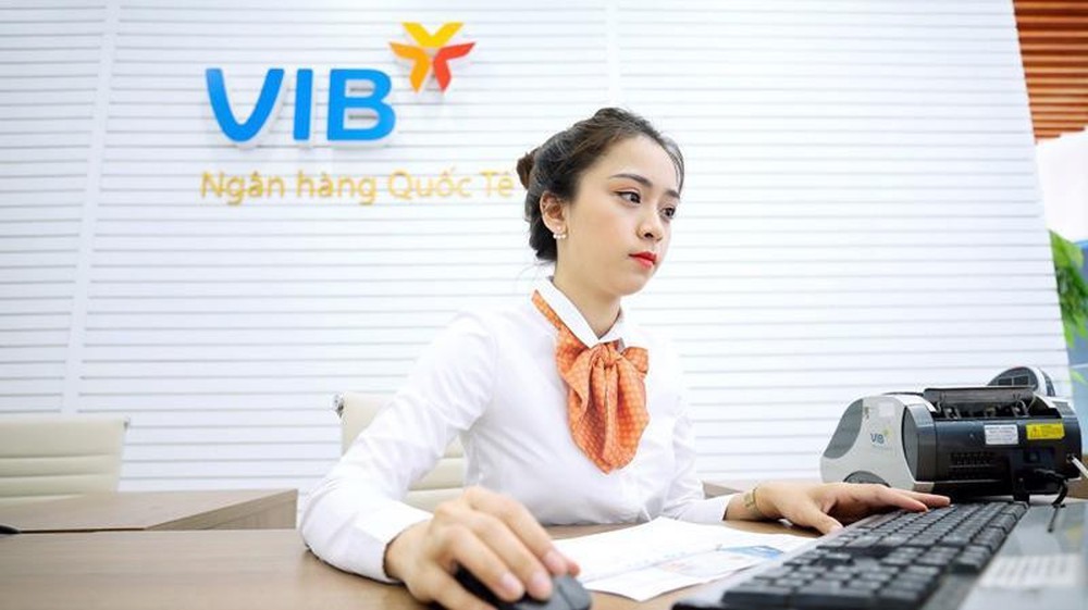 Một công ty con của VIB thu 10 đồng lãi tới 7, được ngân hàng dồn dập tăng vốn gấp 8 lần chỉ trong nửa năm - Ảnh 1.