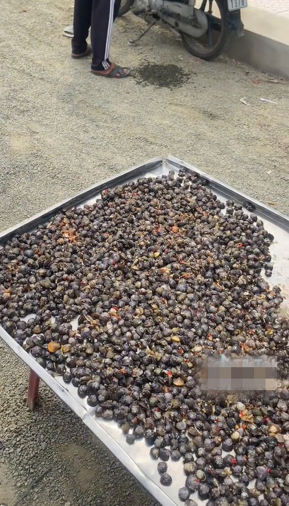 Cứ đến mùa nắng là lại nổi lên món ăn vặt đặc biệt làm chín hoàn toàn bằng ánh mặt trời nhưng không phải ai cũng biết