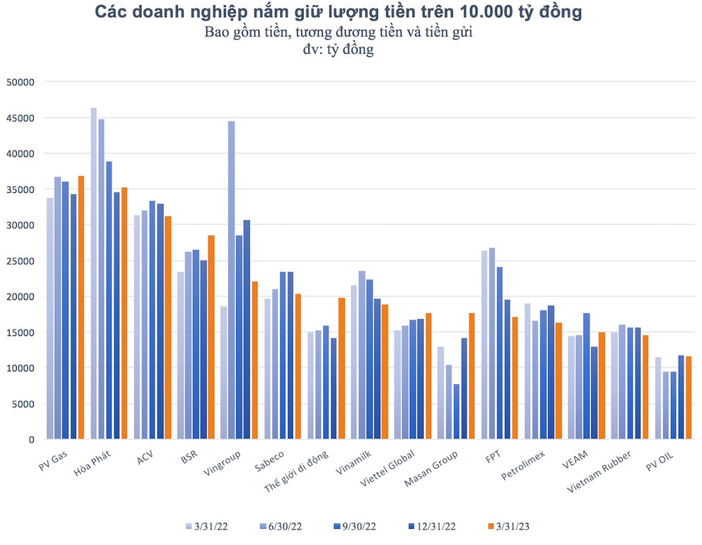 15 đại gia tiền mặt trên sàn chứng khoán ôm hơn 300.000 tỷ: Hòa Phát mất ngôi đầu, Thế giới Di động tăng tốc - Ảnh 2.