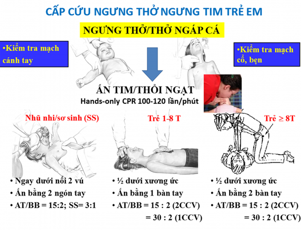 Bé 3 tuổi tử vong vì ngã xô nước cao 50cm - Ảnh 1.