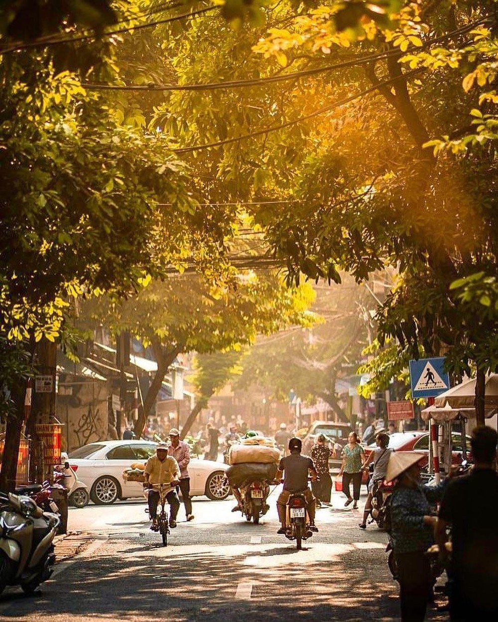 Loạt điểm đến Việt Nam được chuyên trang nước ngoài ca ngợi: Cái tên ở TP.HCM và Cát Bà nhiều người chưa biết