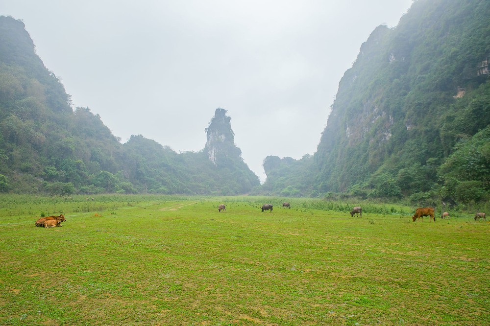 Điểm dã ngoại hoang sơ gần Hà Nội đang được nhiều gia đình tìm đến để đổi gió gần gũi thiên nhiên - Ảnh 1.