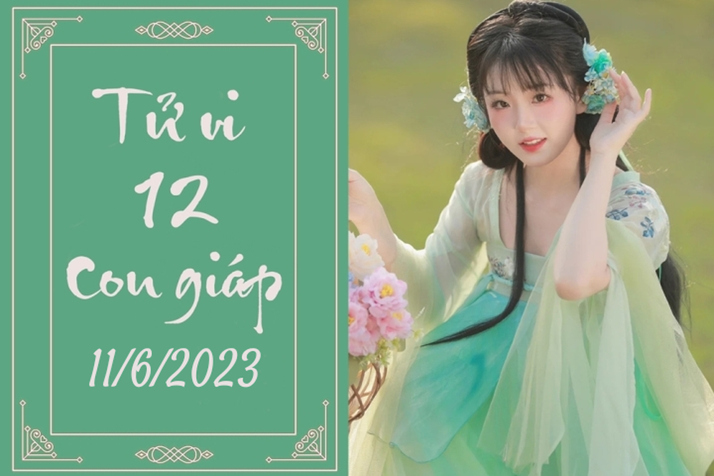 Tử vi vui 12 con giáp hôm nay ngày 11/6/2023: Hợi yêu đời, Tuất may mắn - Ảnh 1.