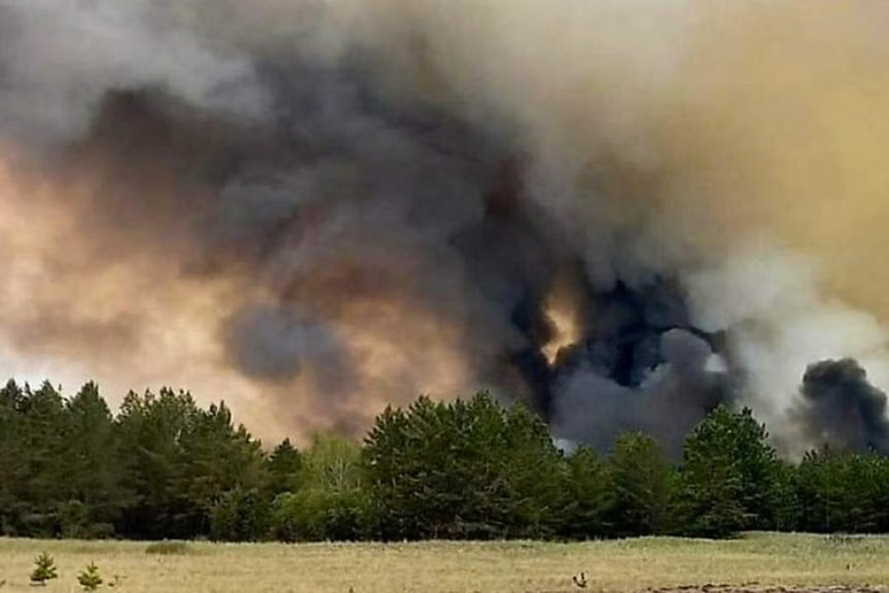 Cháy rừng lớn ở Kazakhstan, tổng thống cách chức bộ trưởng - Ảnh 1.