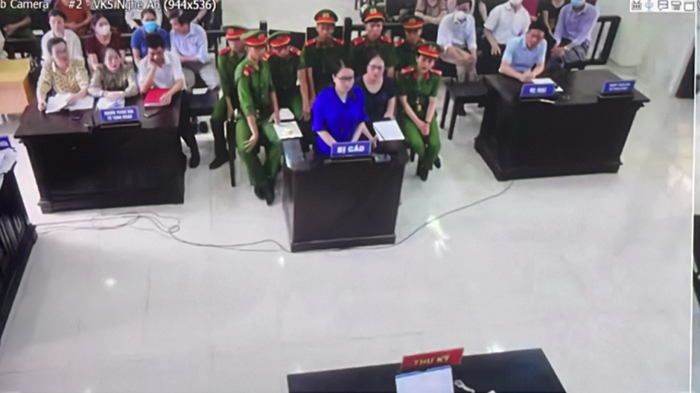 Cô giáo Lê Thị Dung kêu oan, kháng cáo toàn bộ bản án sơ thẩm - Ảnh 2.