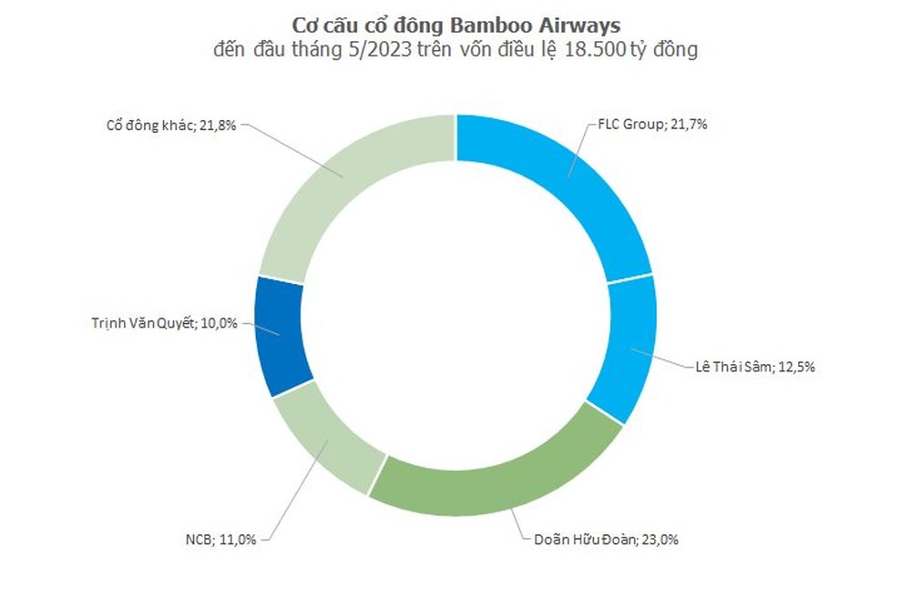  Toàn bộ thành viên HĐQT, thành viên BKS Bamboo Airways từ nhiệm  - Ảnh 1.