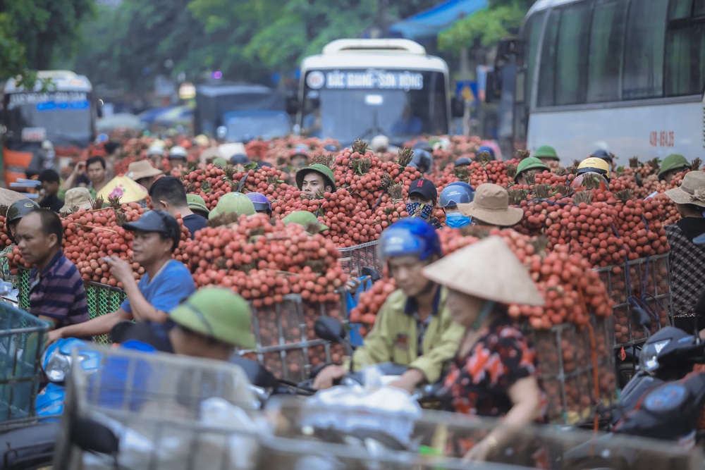 Chùm ảnh: Người dân Bắc Giang trắng đêm soi đèn thu hoạch vải thiều, nô nức chở đi bán từ tờ mờ sáng - Ảnh 14.