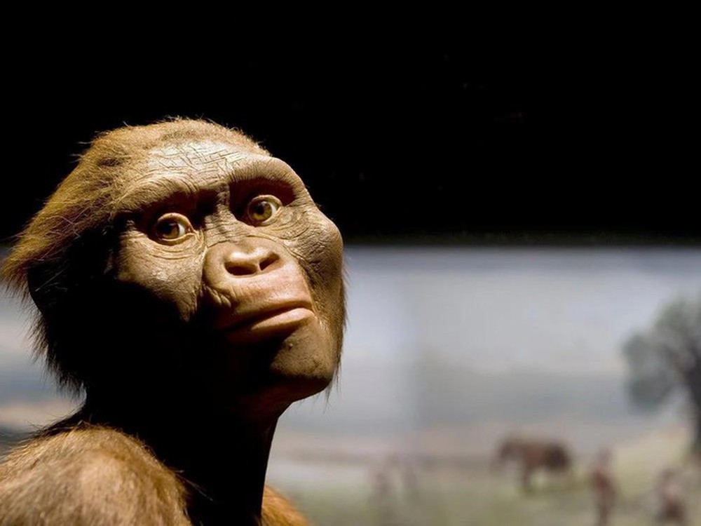 Sốc với thứ hiện đại trên cơ thể vượn nhân hình 3,2 triệu tuổi - Ảnh 1.