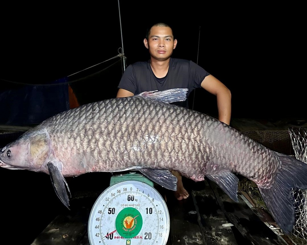 Cần thủ ở Nghệ An chinh phục “thủy quái” nặng hơn 40kg ở đập thủy lợi - Ảnh 1.