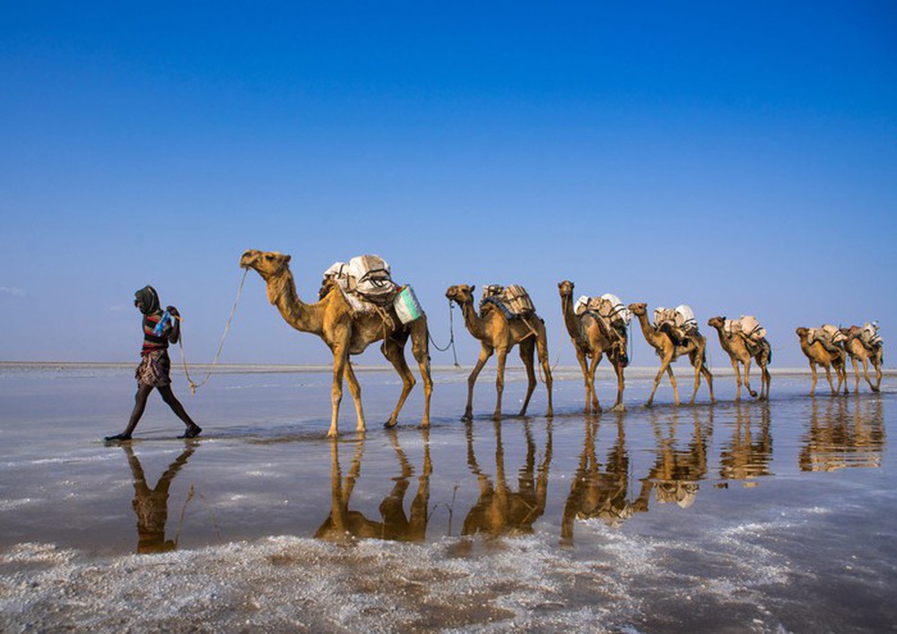 Suối địa nhiệt Dallol: Kỳ quan độc đáo có một không hai trên Trái đất, đẹp nhưng nguy hiểm - Ảnh 5.