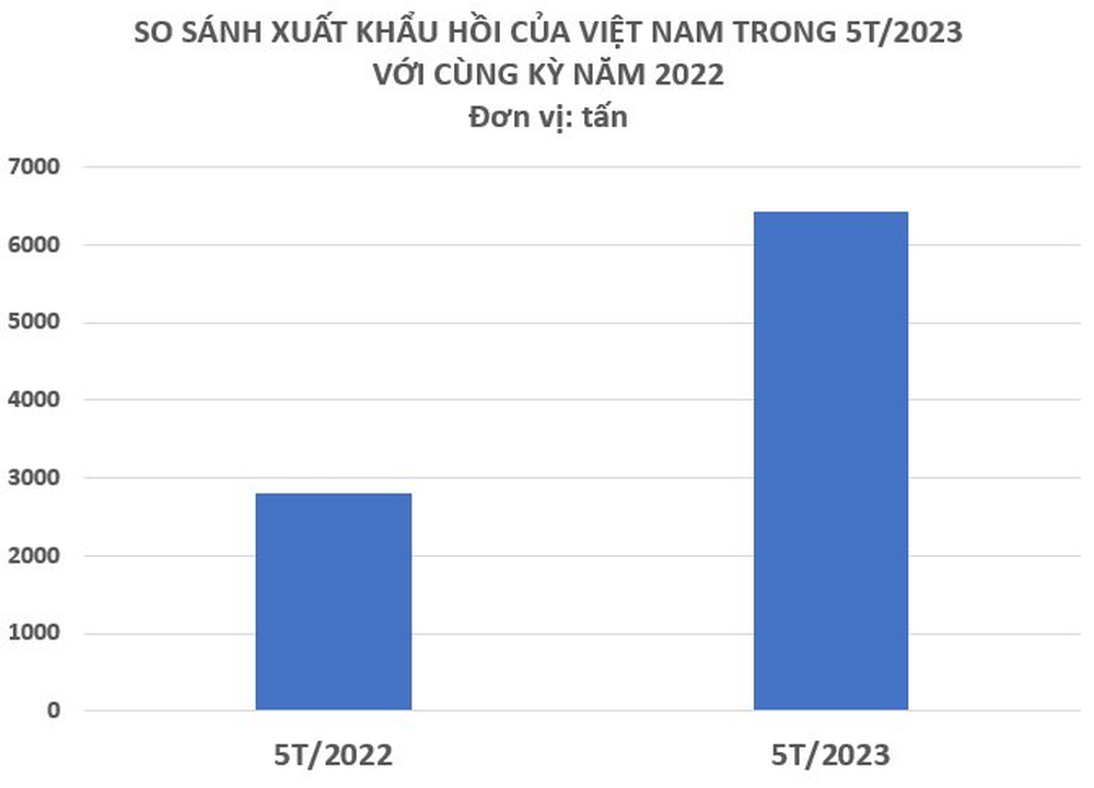 Việt Nam nắm trong tay loại gia vị quý báu rất ít quốc gia có, xuất khẩu tăng hơn 200% trong 5 tháng đầu năm, Ấn Độ và Trung Quốc đều mạnh tay thu mua - Ảnh 3.