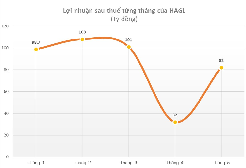 Chưa hưởng lợi từ việc giá heo tăng, Hoàng Anh Gia Lai (HAGL) vẫn báo lãi tháng 5 gấp 2,5 lần tháng trước - Ảnh 3.