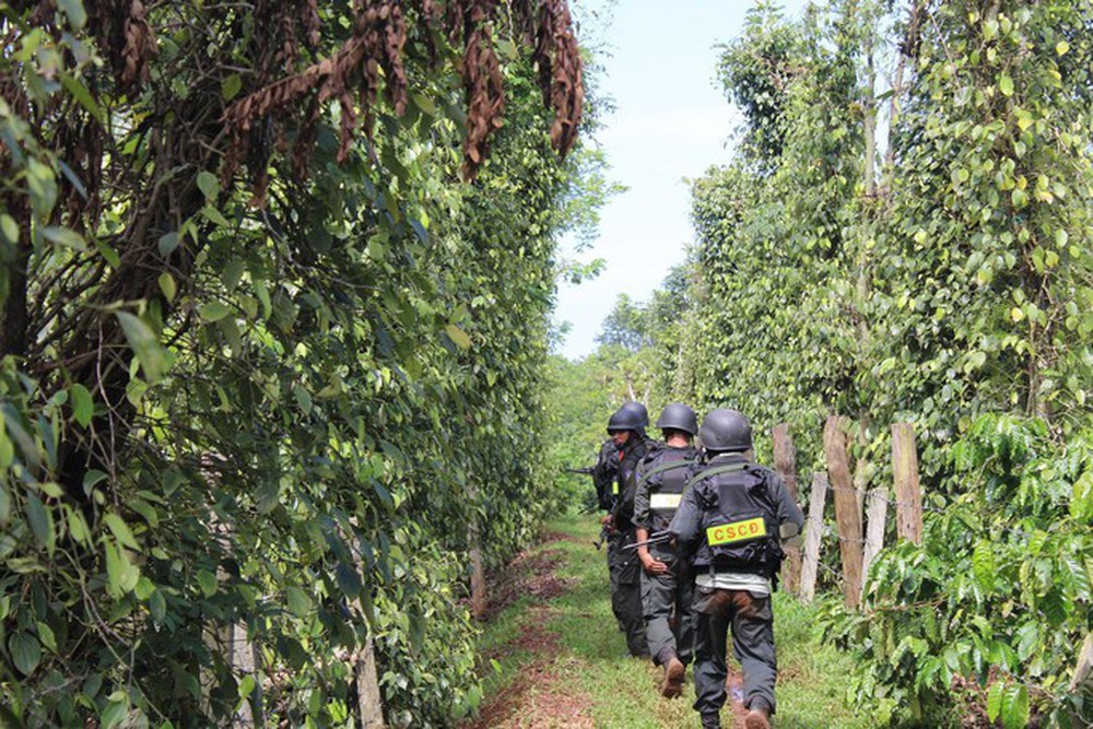 Hình ảnh cảnh sát đặc nhiệm truy bắt các đối tượng tấn công trụ sở Đắk Lắk - Ảnh 3.