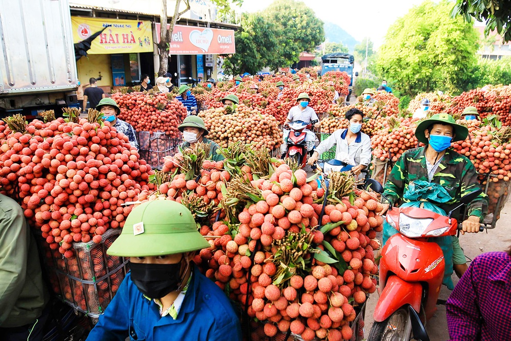 Loại quả bán la liệt ngoài đường tại Việt Nam, giá chỉ 10.000 đồng/kg, xuất ngoại thành hàng hot, giá gần 1 triệu đồng/kg - Ảnh 1.