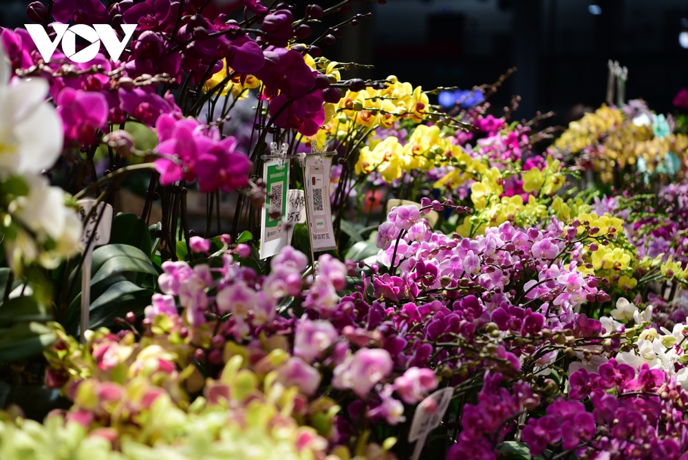 Bên trong chợ hoa lớn nhất châu Á - nơi 1 bó hoa có giá chỉ bằng 1 bông hoa - Ảnh 13.