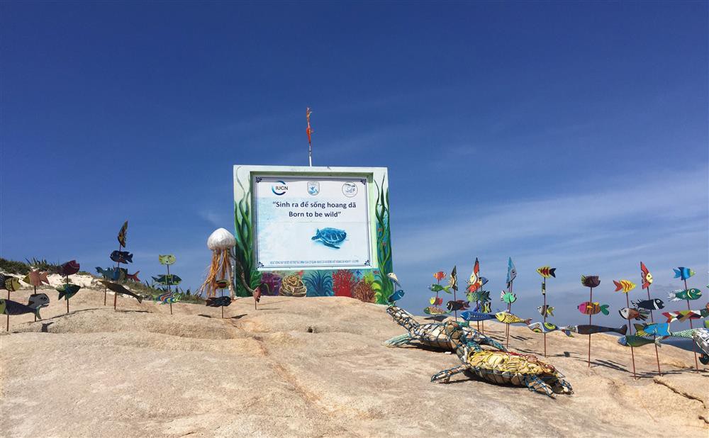 Có một hòn đảo mang tên Cù lao nhưng ít người biết ở Bình Thuận: Khung cảnh hoang sơ, không có khách sạn, nhà nghỉ - Ảnh 6.