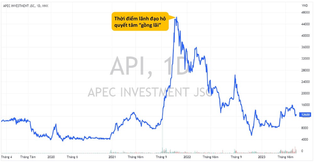 Cổ phiếu nhóm APEC đồng loạt bốc hơi gần 80% giá trị kể từ thời điểm lãnh đạo đeo khăn tím hô quyết tâm gồng lãi - Ảnh 2.