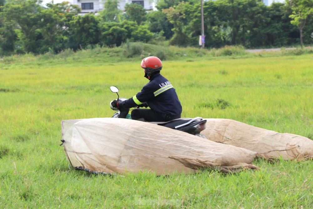 Vượt hơn 80km để săn châu chấu, nông dân Nghệ An kiếm tiền triệu mỗi ngày - Ảnh 5.