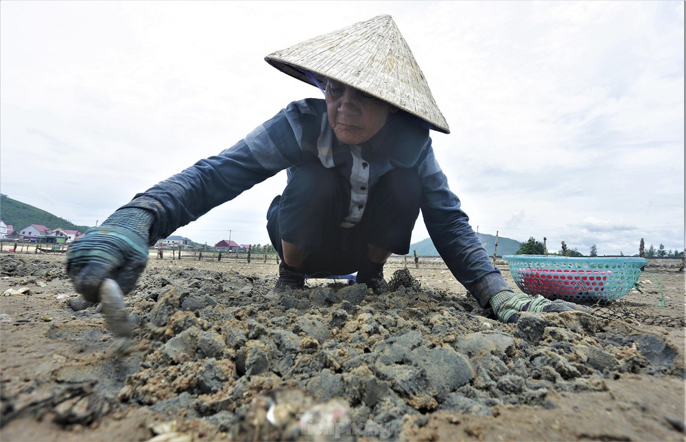 Những phụ nữ vùng biển đội nắng bới cát kiếm thêm thu nhập - Ảnh 3.