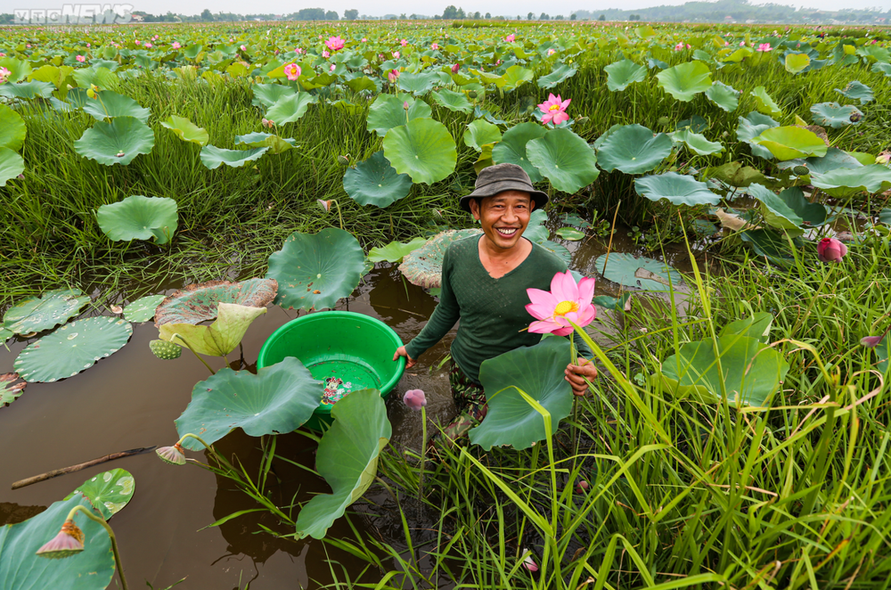 Rộn ràng mùa thu hoạch hạt ‘thần dược’, nông dân thu hàng chục triệu đồng mỗi vụ - Ảnh 9.