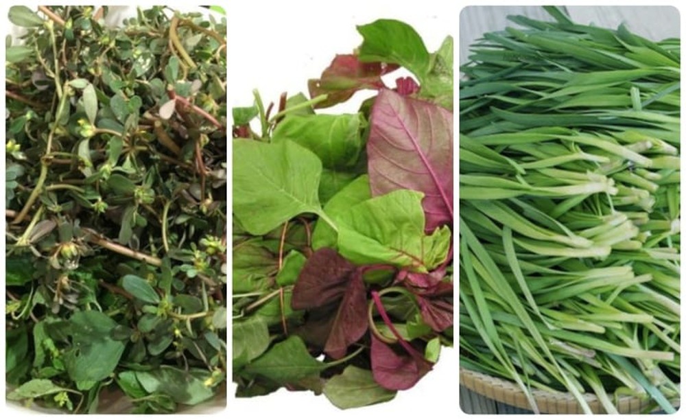 3 loại rau quen thuộc tại Việt Nam là rau trường thọ ở nhiều quốc gia - Ảnh 1.