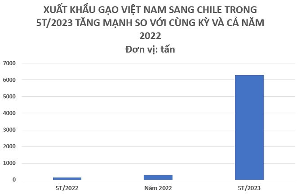 Một quốc gia châu Mỹ tăng nhập khẩu “hạt vàng” của Việt Nam hơn 4.000% trong 5 tháng đầu năm, gấp hơn 23 lần so với cả năm 2022 cộng lại - Ảnh 1.