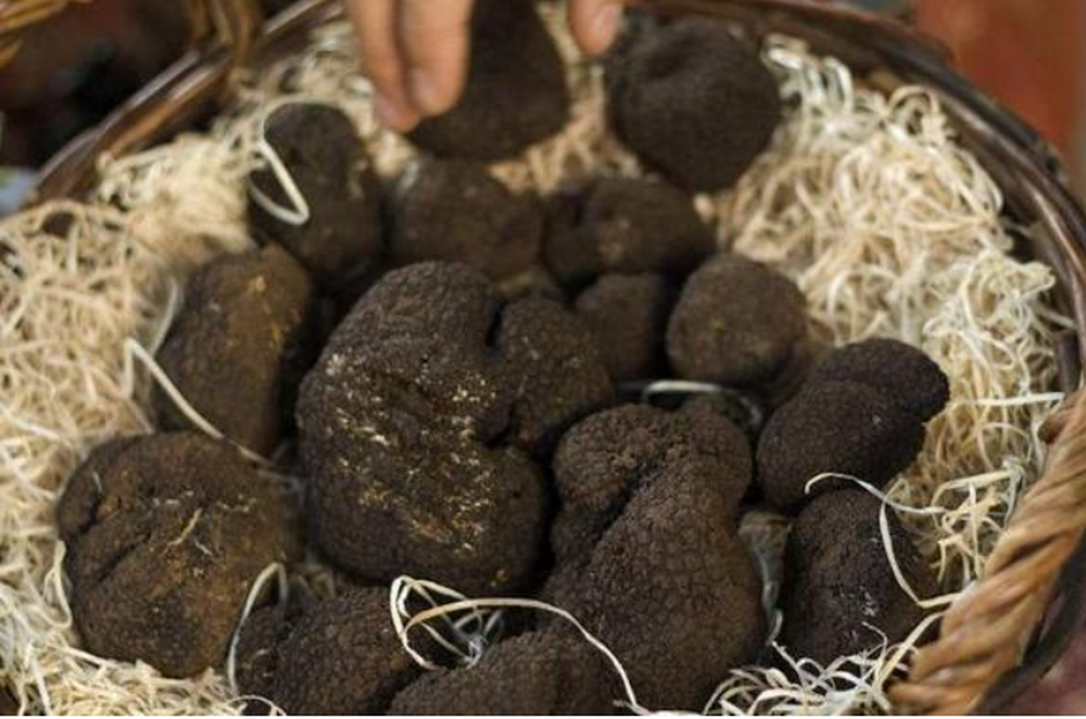 Lão nông đào được hòn đá đen sì tỏa mùi thơm, chuyên gia nói: 1 tỷ chỉ mua được 2 kg - Ảnh 4.