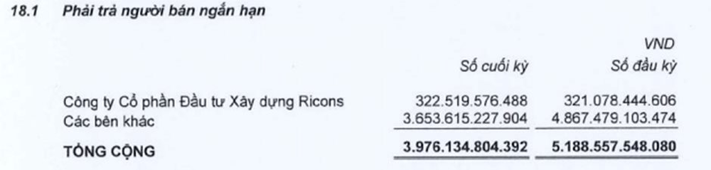  Cổ đông lớn chây ỳ không trả nợ hàng trăm tỷ cho Ricons là ai?  - Ảnh 2.