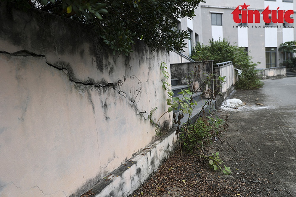 Hai toà chung cư bỏ hoang tại nội thành Hà Nội nhiều năm - Ảnh 7.