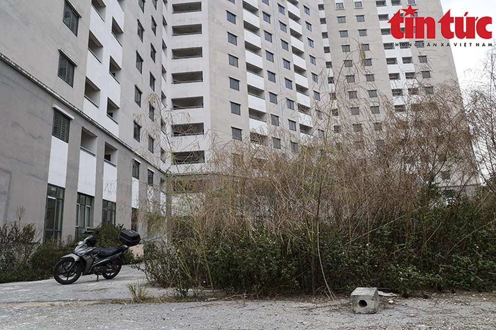 Hai toà chung cư bỏ hoang tại nội thành Hà Nội nhiều năm - Ảnh 3.