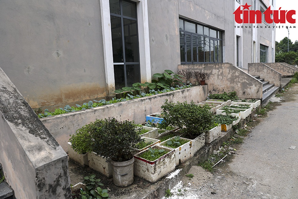 Hai toà chung cư bỏ hoang tại nội thành Hà Nội nhiều năm - Ảnh 13.