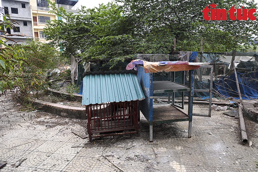Hai toà chung cư bỏ hoang tại nội thành Hà Nội nhiều năm - Ảnh 8.