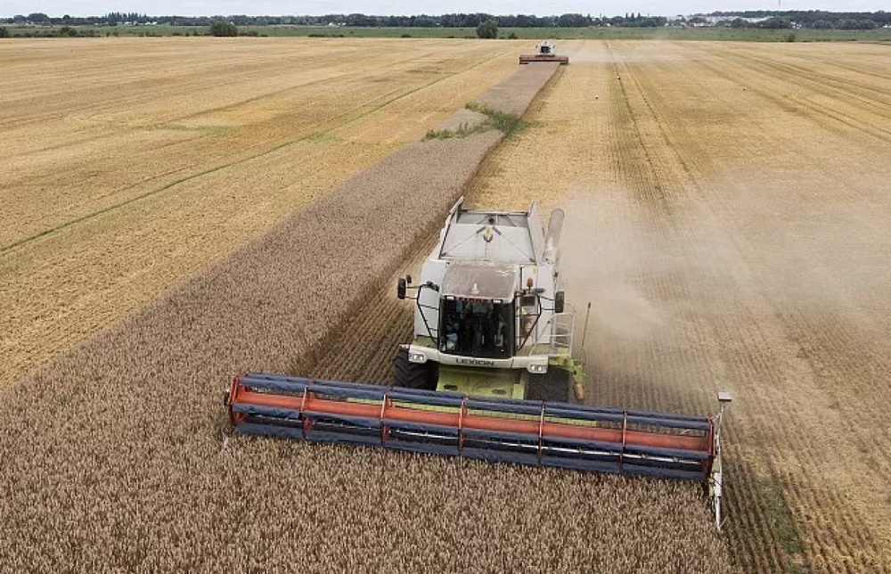 EU gia hạn lệnh cấm đối với ngũ cốc Ukraine đến giữa tháng 9 - Ảnh 1.