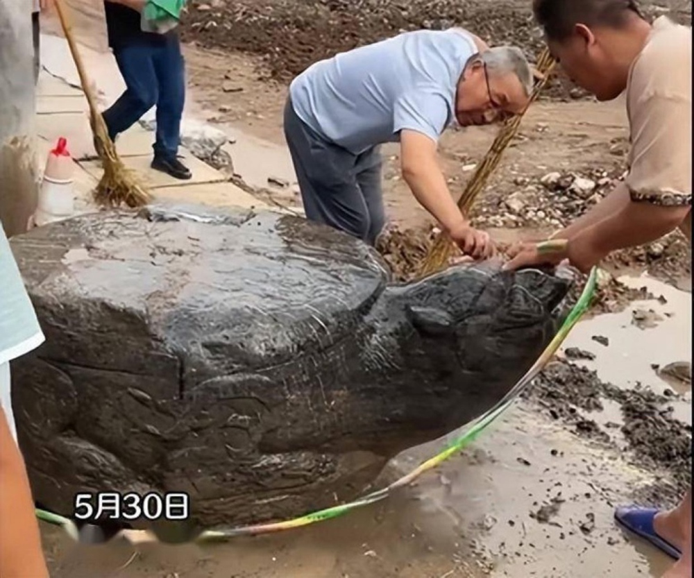 Phát hiện con rùa đá lớn trong quá trình làm đường, dân mạng xôn xao