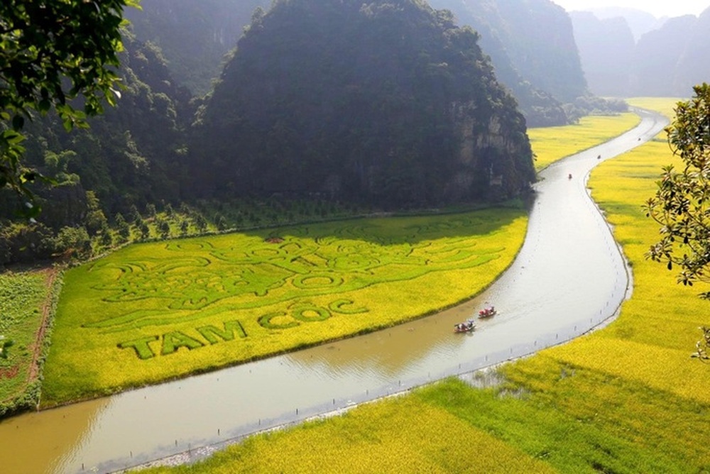 DN đằng sau bức tranh Lý ngư vọng nguyệt trên cánh đồng lúa 10.000 m2 đẹp nhất Việt Nam: Đại gia của những siêu dự án tâm linh tỷ đô - Ảnh 3.