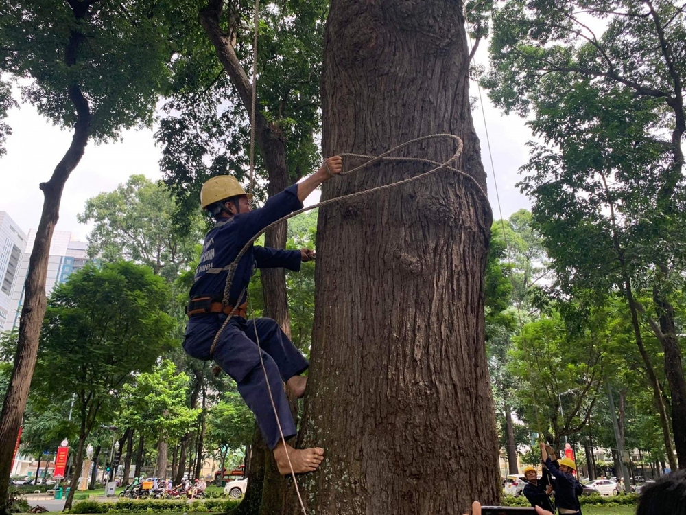 Nghề “ăn cơm dưới đất làm việc trên trời” - Ảnh 1.