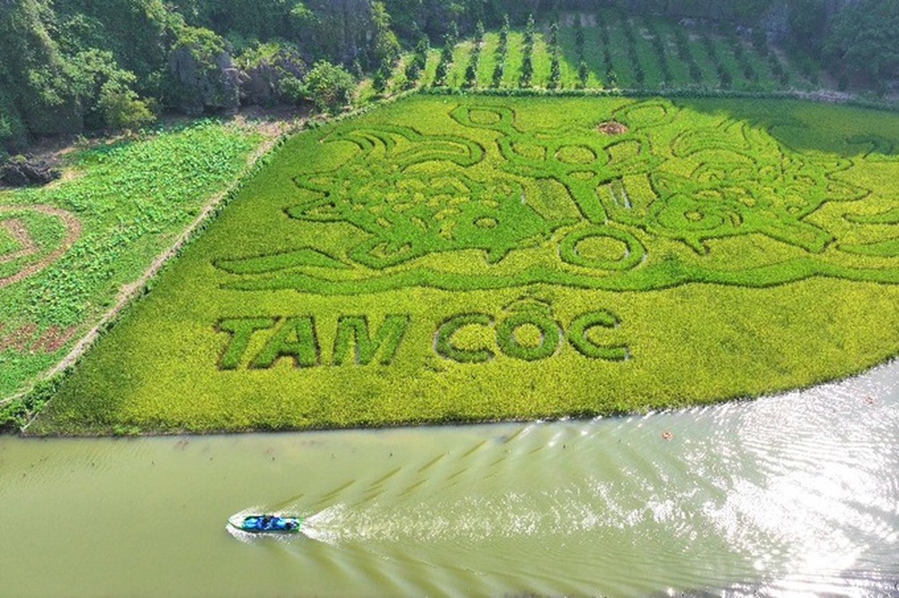 DN đằng sau bức tranh Lý ngư vọng nguyệt trên cánh đồng lúa 10.000 m2 đẹp nhất Việt Nam: Đại gia của những siêu dự án tâm linh tỷ đô - Ảnh 2.