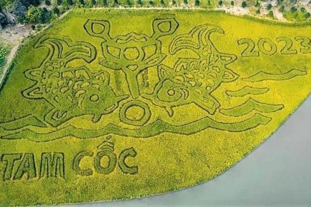 DN đằng sau bức tranh Lý ngư vọng nguyệt trên cánh đồng lúa 10.000 m2 đẹp nhất Việt Nam: Đại gia của những siêu dự án tâm linh tỷ đô - Ảnh 1.
