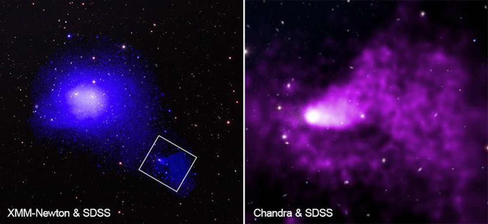 NASA chụp được quái vật khủng khiếp nhất vũ trụ, nuốt cả cụm thiên hà - Ảnh 1.