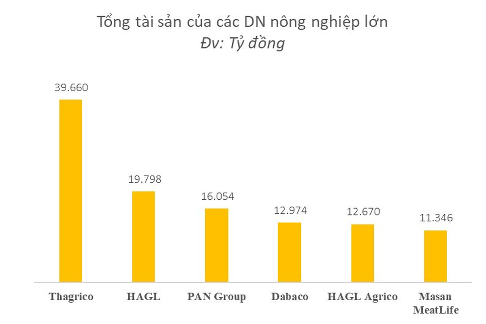 Sau ít năm đi trồng cây, chăn nuôi, Thaco Agri trở thành công ty nông nghiệp tư nhân có tài sản top đầu Việt Nam với gần 40.000 tỷ, năm 2022 vẫn lỗ gần 900 tỷ - Ảnh 2.