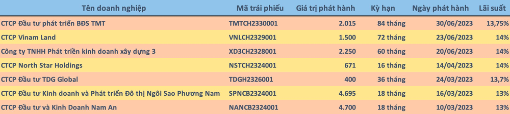 Nhiều doanh nghiệp bất động sản chấp nhận vay hàng nghìn tỷ đồng trái phiếu với lãi suất lên đến 14% - Ảnh 2.