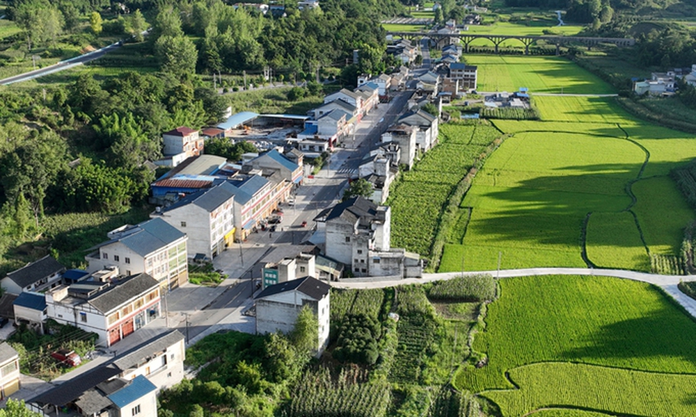 Lần lượt về quê rồi đến ở nhà con cái, cụ ông 67 tuổi ngậm ngùi: Giờ tôi mới hiểu đâu là điểm đến tốt nhất trong những năm cuối đời - Ảnh 1.